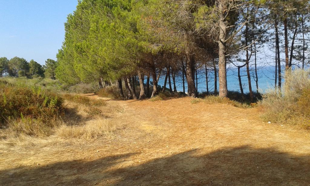 Les Jardins De La Mer Marine De Bravone - 2 Chambres A Lit Plus Sofa Avec Piscine A Cote Mer Лингиццета Экстерьер фото